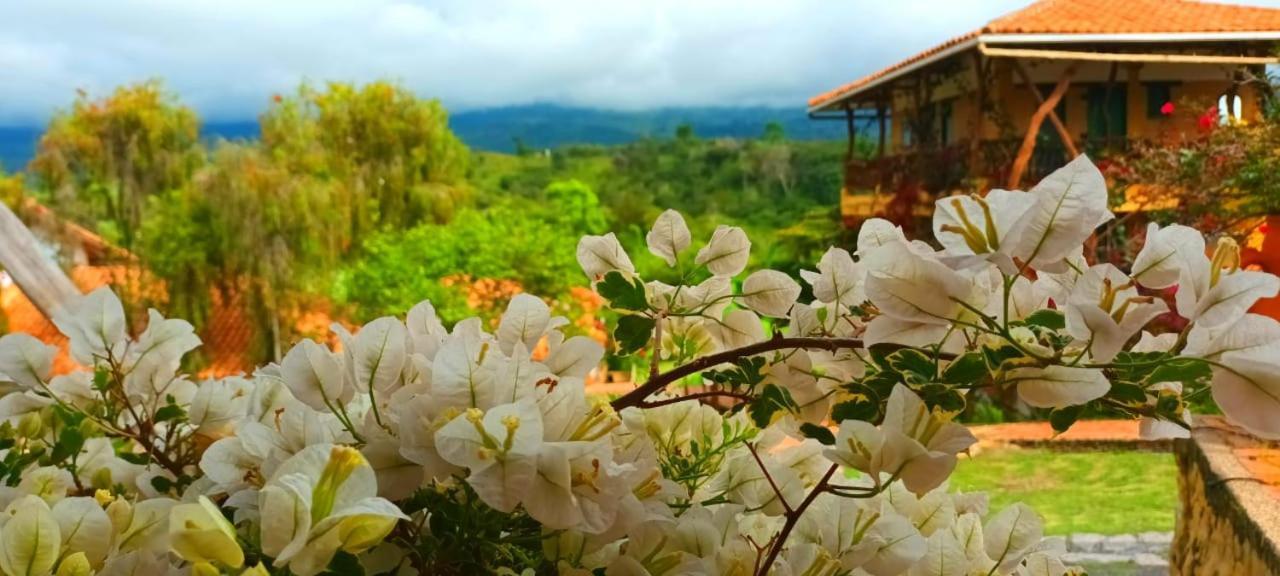 Villa Macua à Chipata Extérieur photo